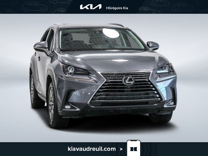 Lexus NX KA8037 | NX 300 AWD 2021 Gris Laval - photo #0