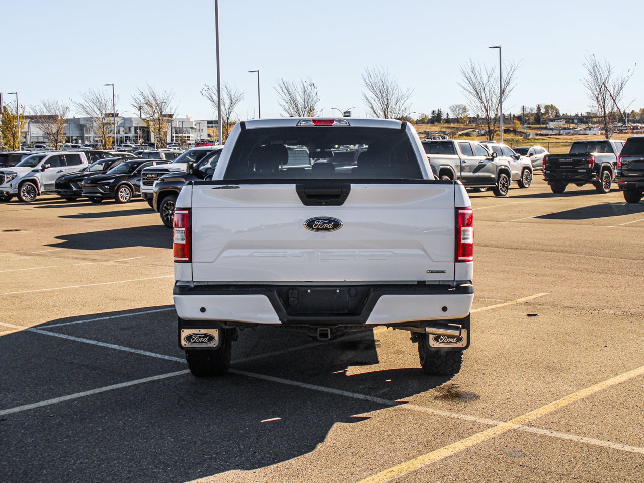 2019 Ford F-150 XLT 4WD SuperCrew 5.5' Box White Sherwood Park - photo #6