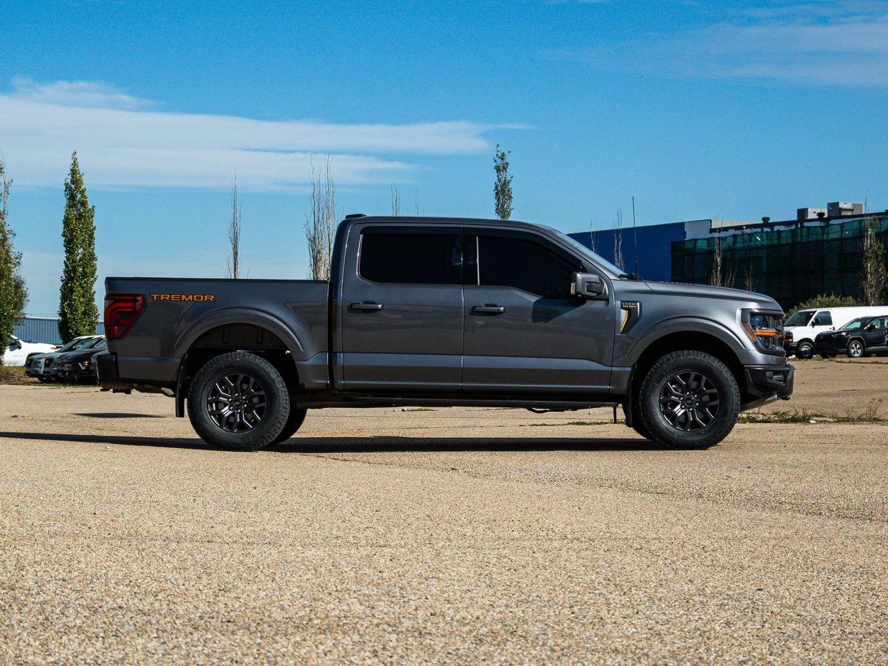 2025 Ford F-150 Tremor 4WD SuperCrew 5.5' Box Grey Sherwood Park - photo #14
