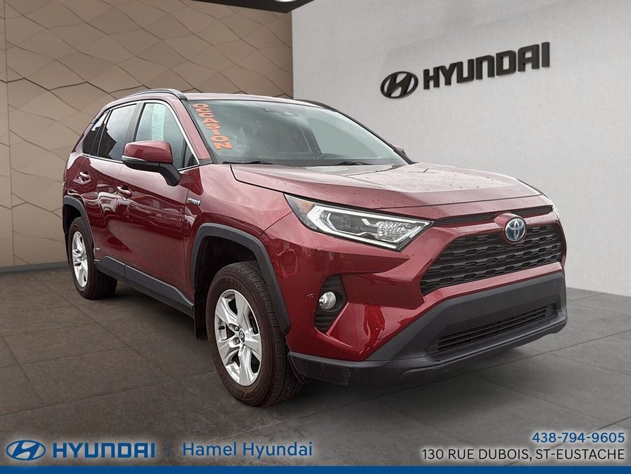 Toyota RAV4 2020 2020 Rouge