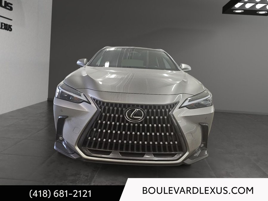 Lexus NX 350h Luxe 2024 Argent