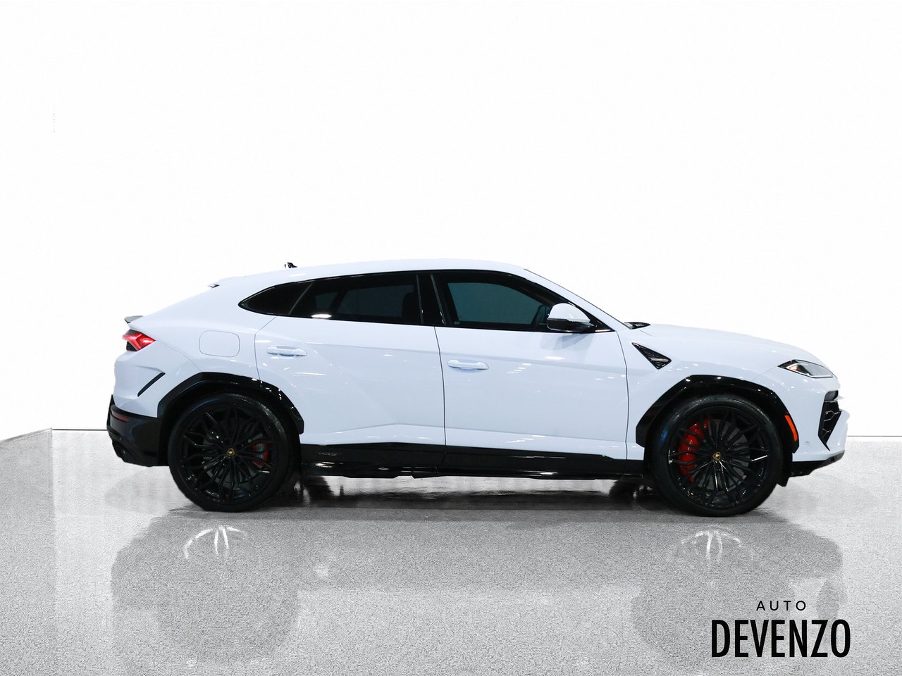 Lamborghini Urus 2025 Blanc Saint-Eustache - photo #1