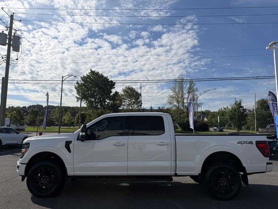 2024 Ford F150 XLT 2024 White