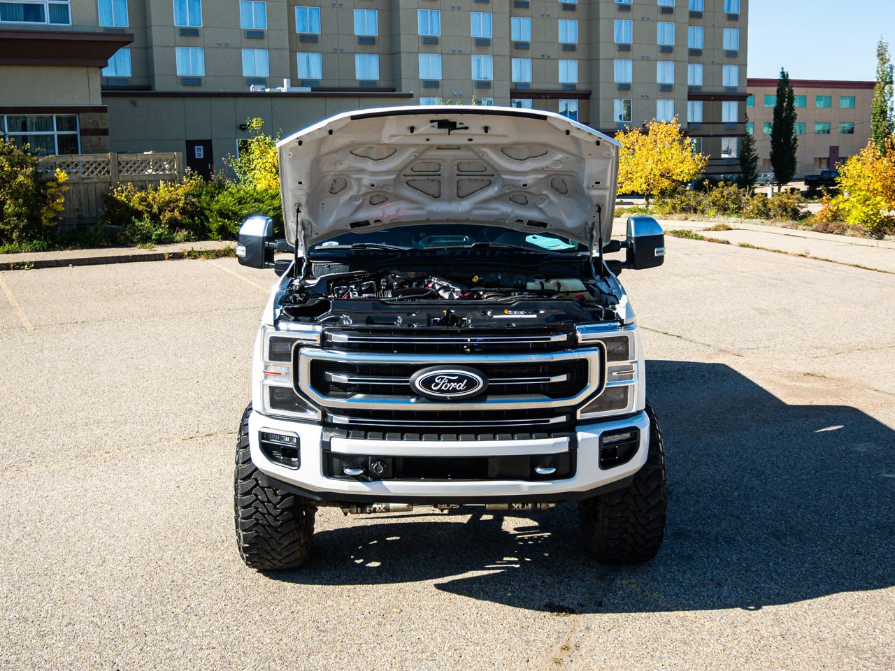 2022 Ford Super Duty F-350 SRW Platinum 4WD Crew Cab 6.75' Box White Sherwood Park - photo #9