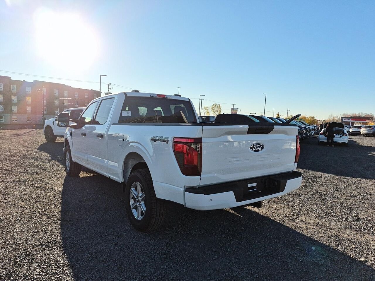 Ford F-150 2F414 | XLT 2026 Blanc Oxford Saint-Jérôme - photo #3