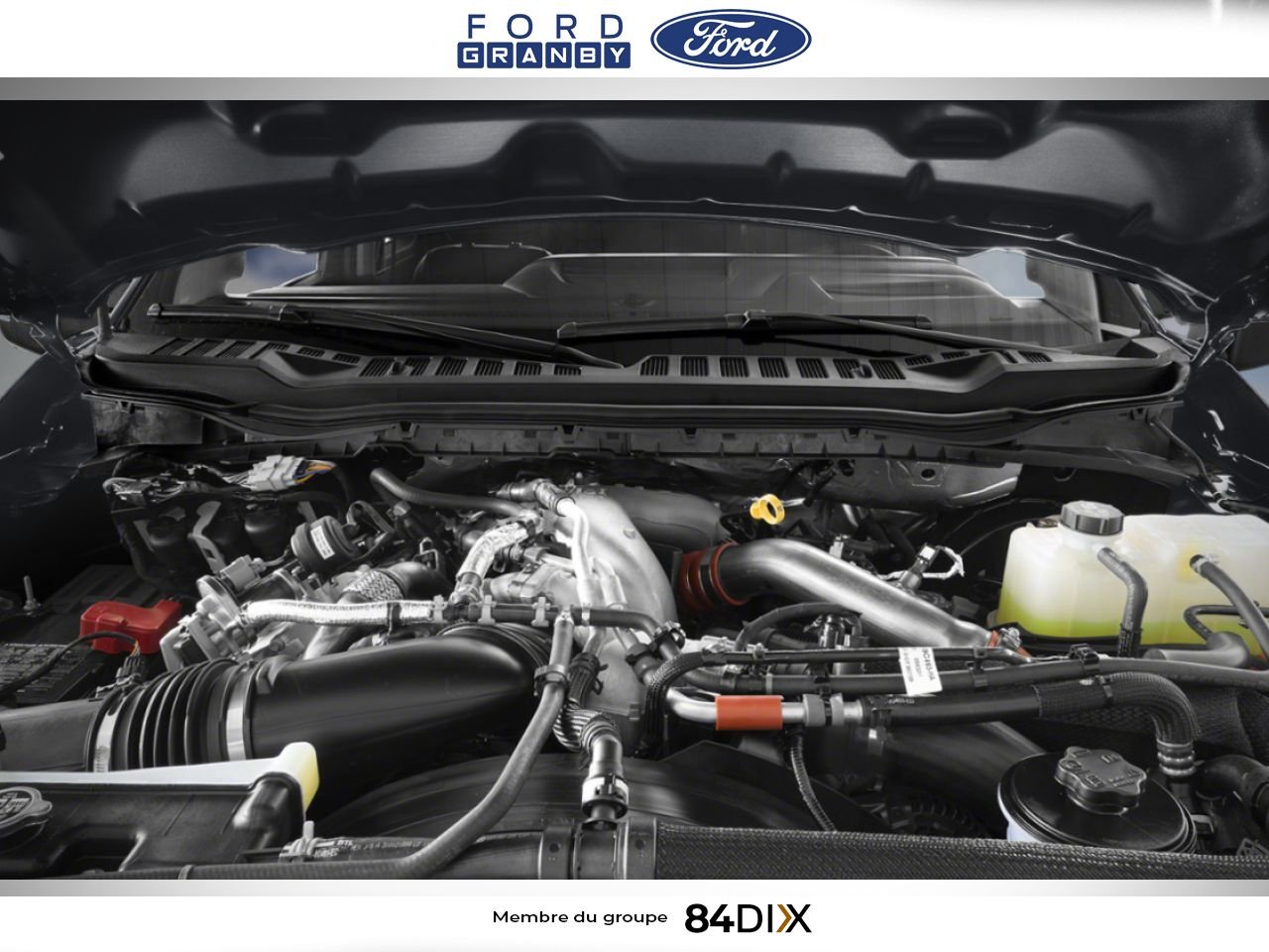 2026 Ford Super Duty F-250 SRW Oxford White Granby - photo #9