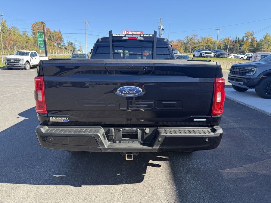 Ford F-150 XLT cabine SuperCrew 4RM caisse de 6,5 pi 2023 Noir