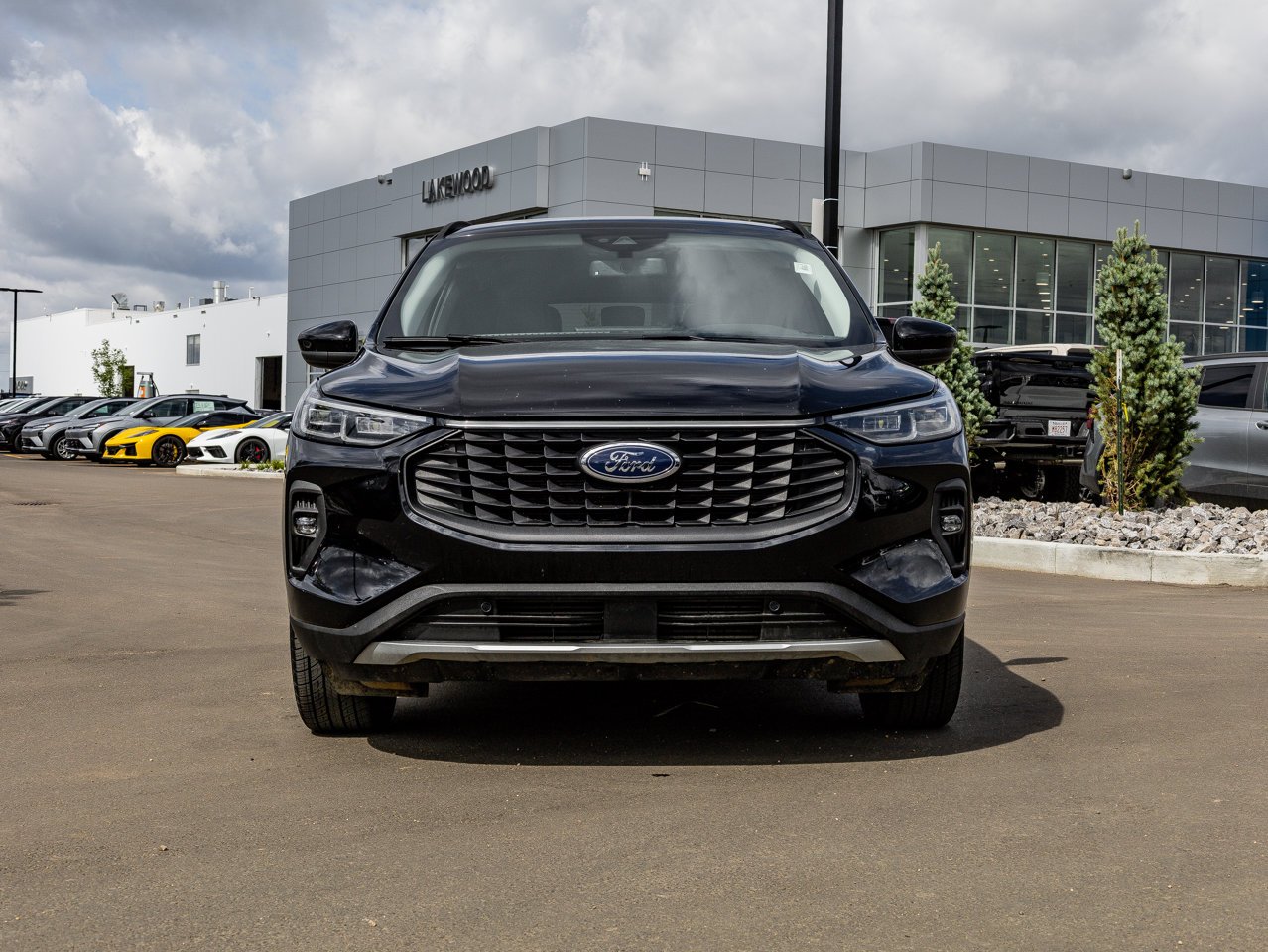 2025 Ford Escape Platinum AWD Black Sherwood Park - photo #2