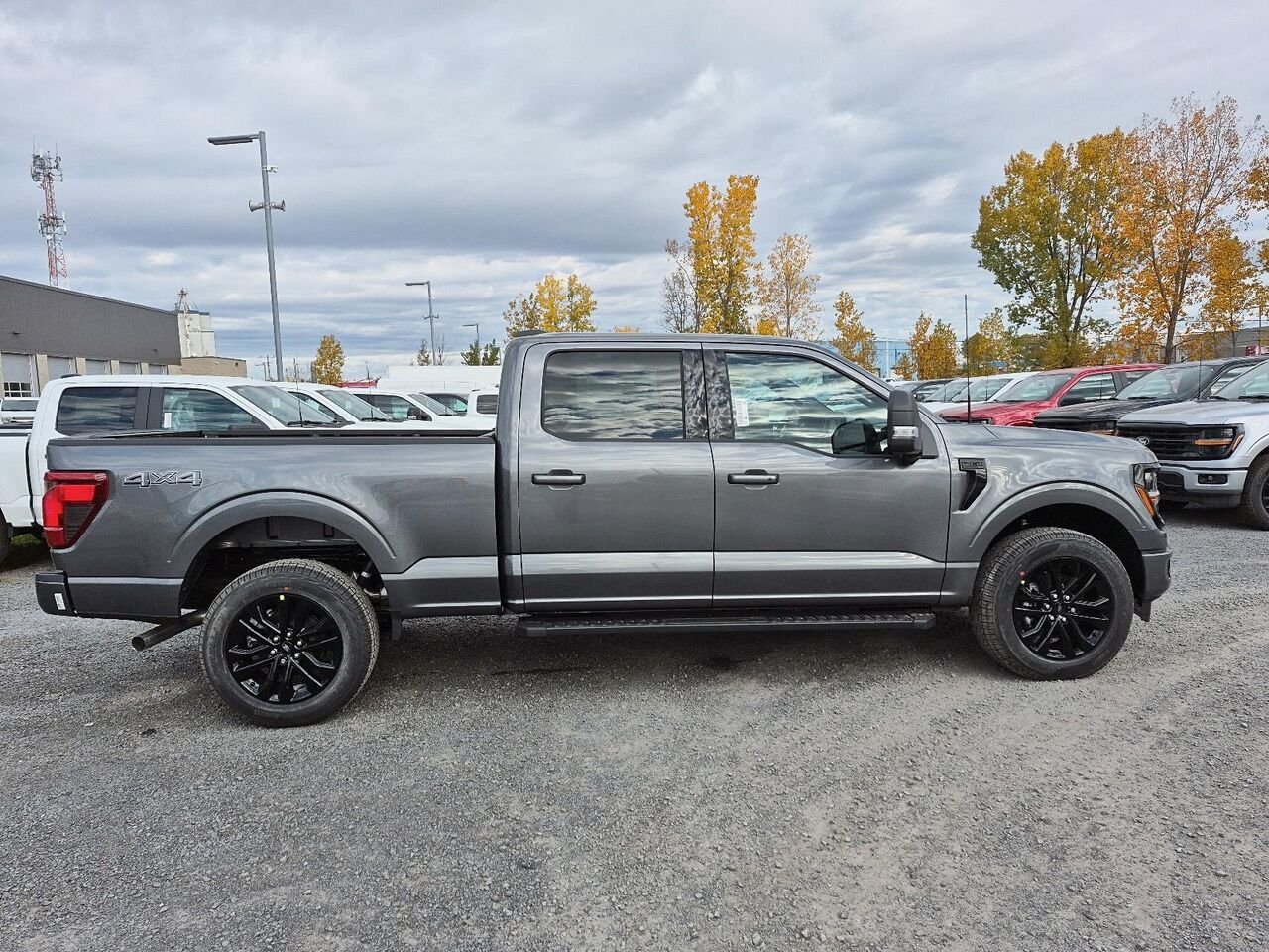 Ford F-150 2F419 | XLT 2026 Gris carbonisé métallisé Saint-Jérôme - photo #6