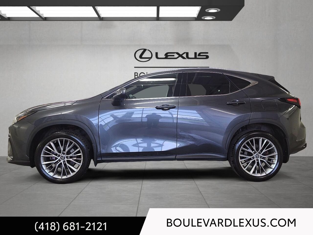 Lexus NX 19941A | NX 350 TI 2023 Gris Québec - photo #5