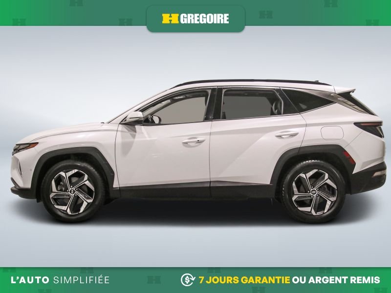 2023 Hyundai Tucson 2023 White