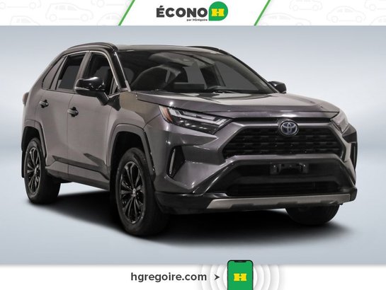 Toyota Rav 4 2023 2023 Gris