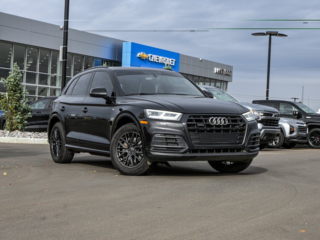 2019 Audi Q5 Progressiv 45 TFSI quattro Black Sherwood Park - photo #1