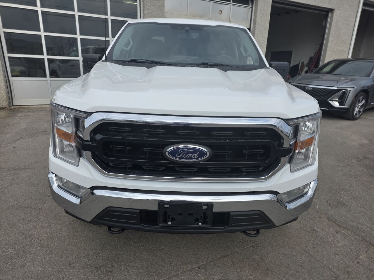 Image 8