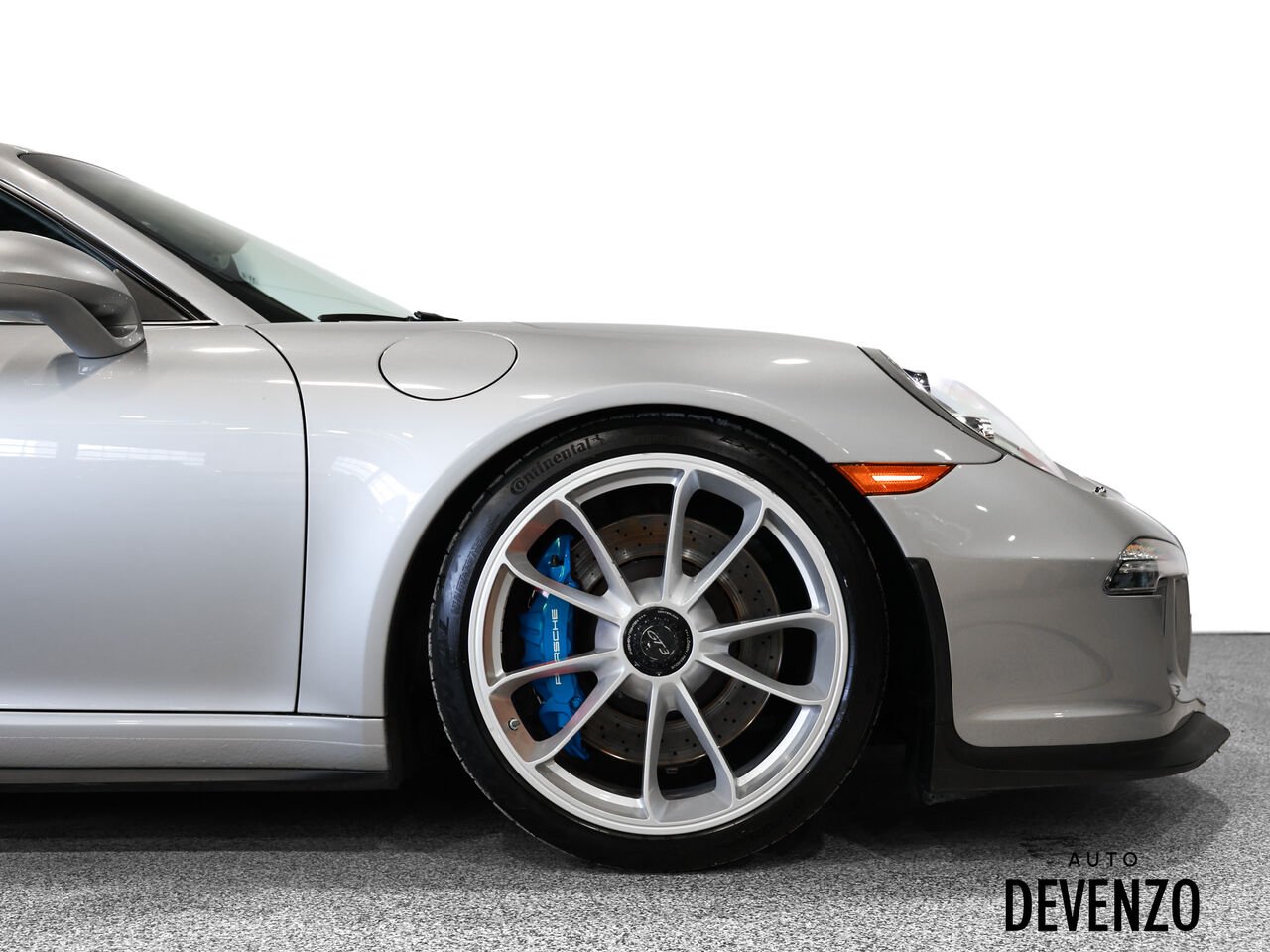 Porsche 911 2015 Gris Saint-Eustache - photo #6