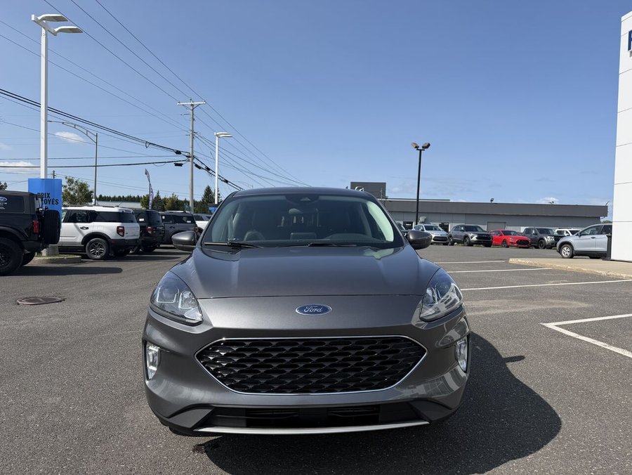 Ford ESCAPE 2022 2022 Gris