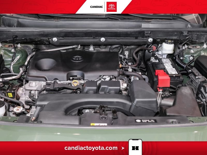 Toyota Rav 4 TR04374 | Trail AWD - CUIR - TOIT OUVRANT - MAGS 2024 Vert Laval - photo #37