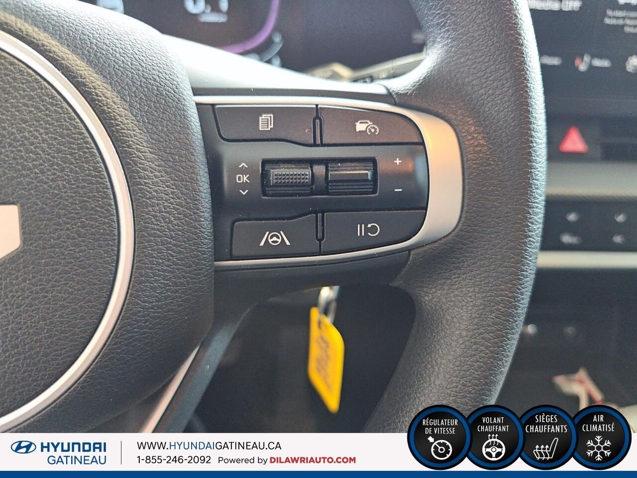 Kia Sportage 2024 Gris Gatineau - photo #12