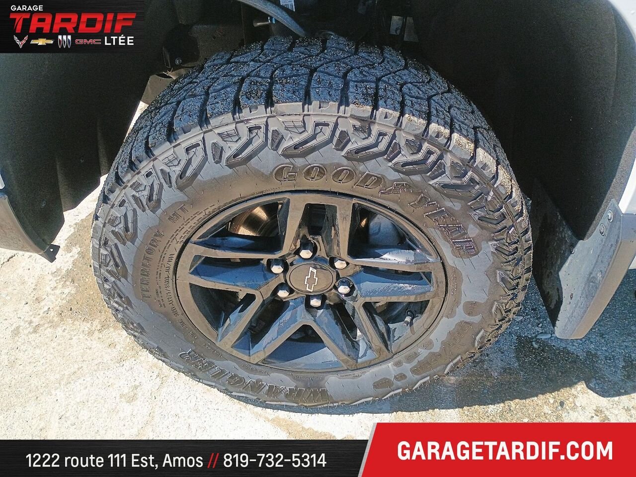 2024 CHEVROLET Silverado 1500 CUSTOM TRAIL BOSS CREW CAB 5.3L White Amos - photo #5