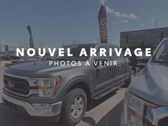 Ford F-150 2022 2022 Gris