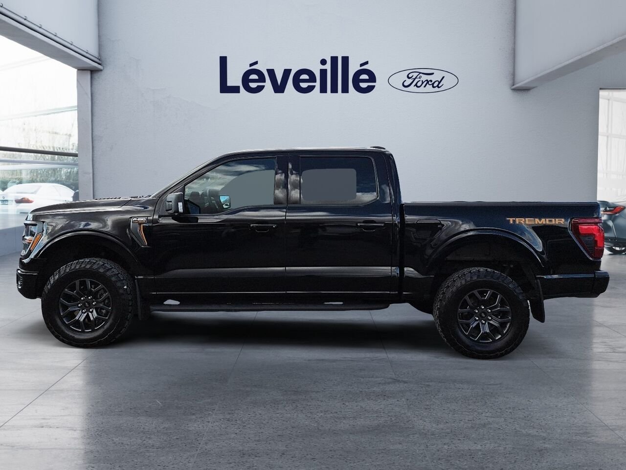 2025 Ford F-150 Black Saint-Jérôme - photo #22