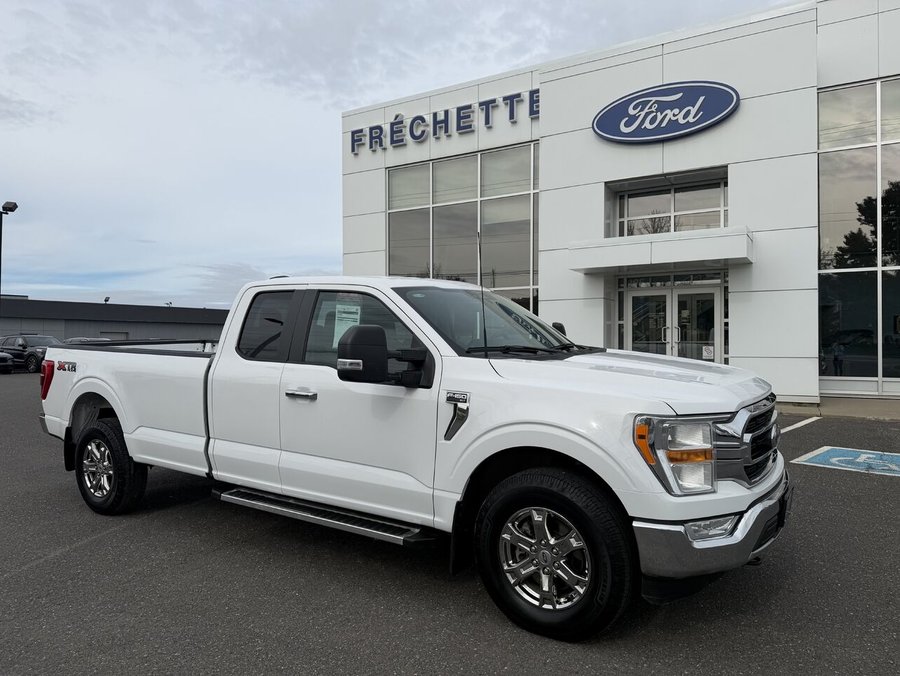 Ford F-150 XLT cabine double 4RM caisse de 8 pi 2023 Blanc