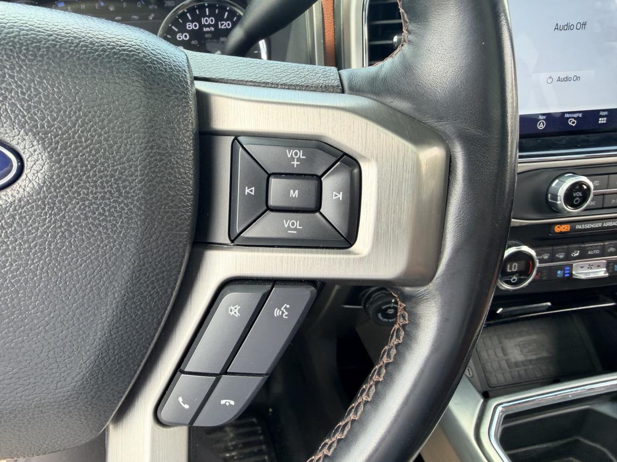 Ford Super Duty F-250 SRW 2022 Gris  - photo #14