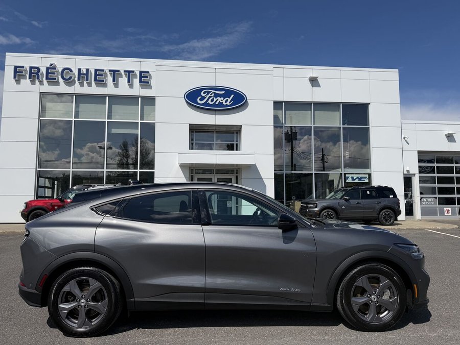 Ford Mustang Mach-E 2023 2023 Gris