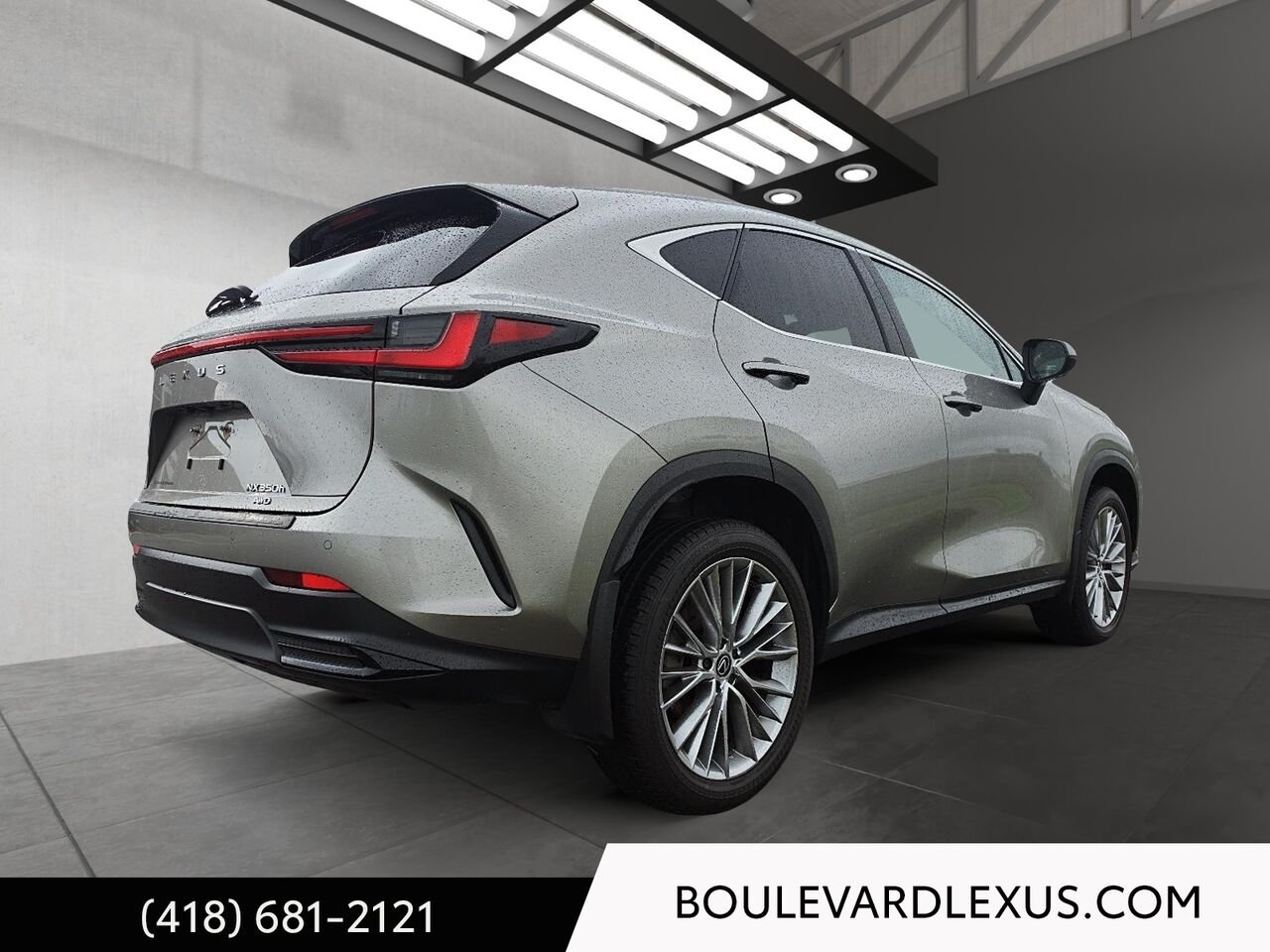 Lexus NX 601183 | NX 350h TI 2024 Argent Québec - photo #3
