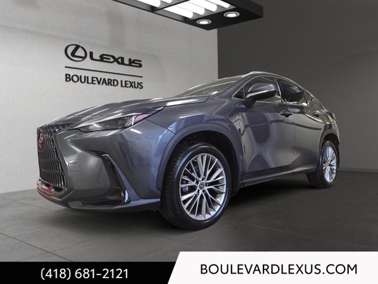 Lexus NX 2023 2023 Gris