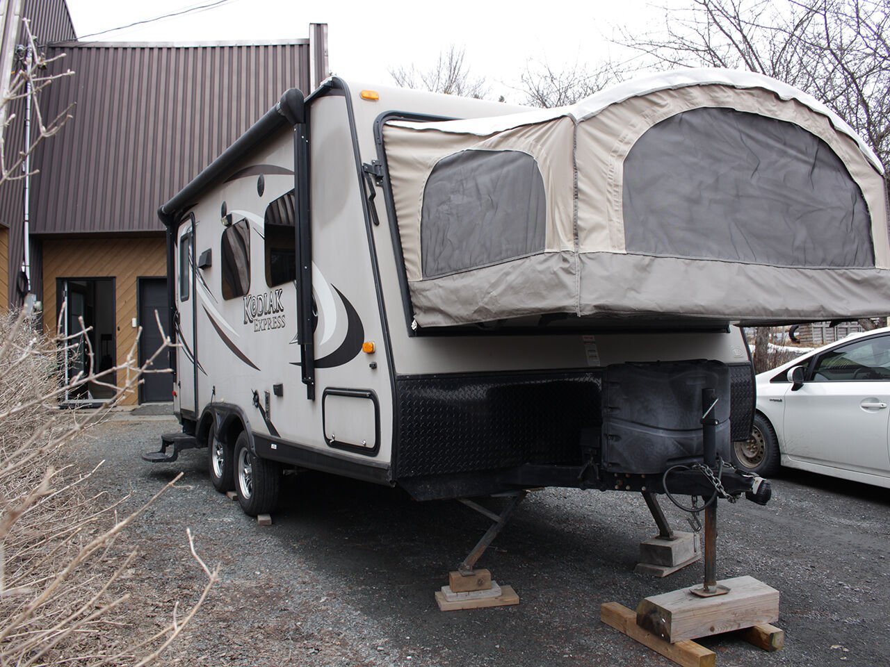 Kodiak DK186 Hybride 2015 Beige Lac-Etchemin - photo #0