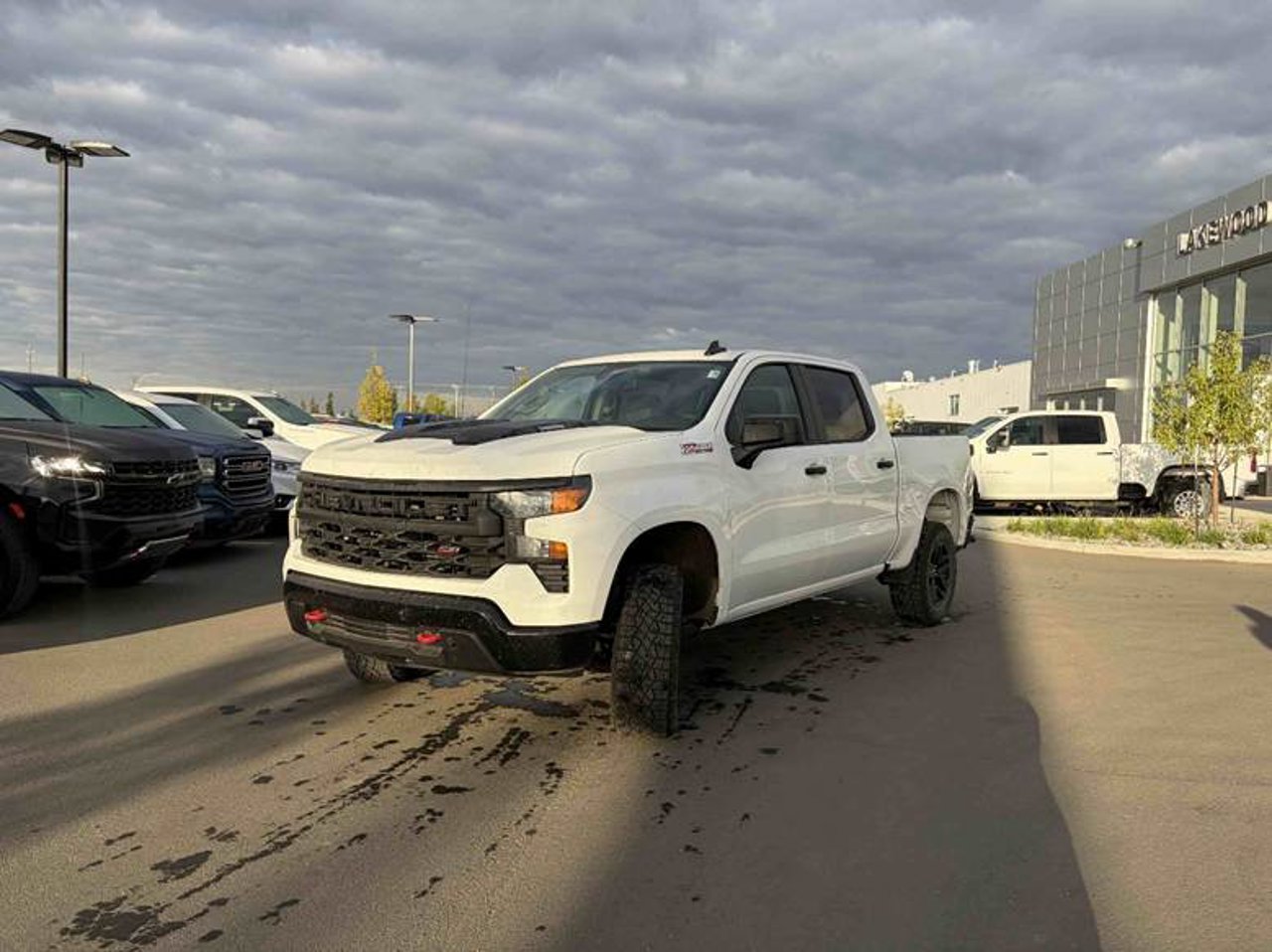 2025 Chevrolet Silverado 1500 4WD Crew Cab 147 Custom Trail Boss White Sherwood Park - photo #2