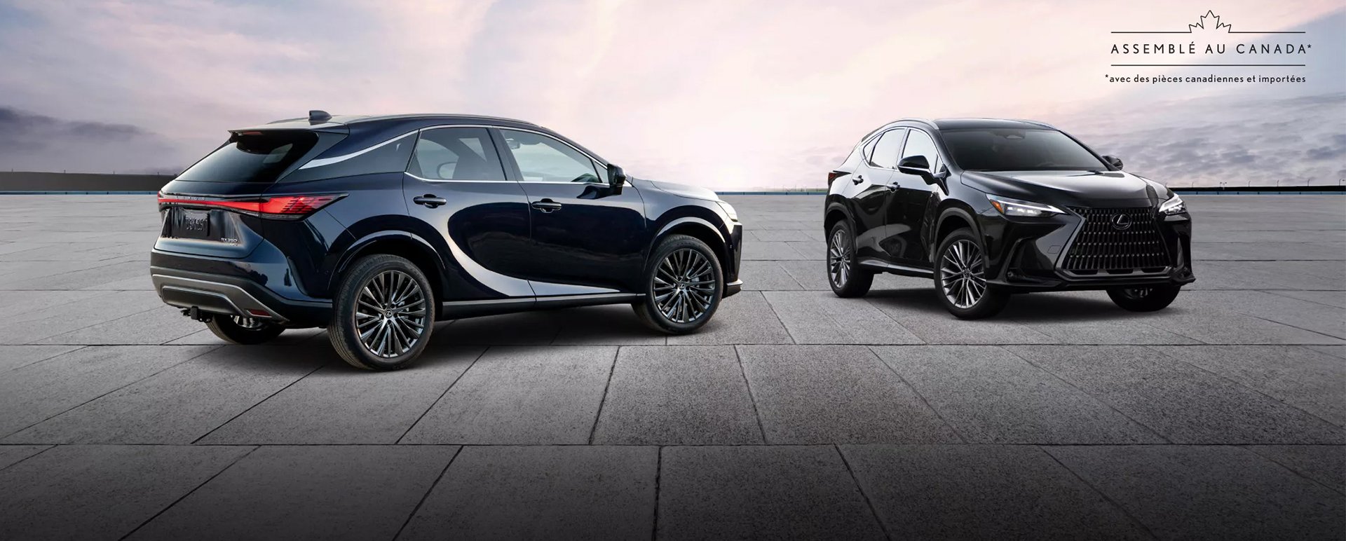 Concessionnaire Lexus