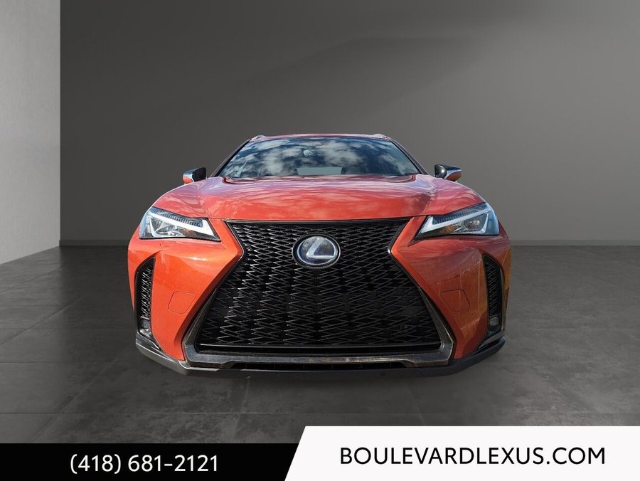 Lexus UX 2019 2019 Orange