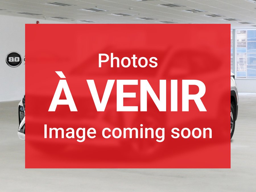 RAM 1500 CLASSIC 2019 2019 Rouge