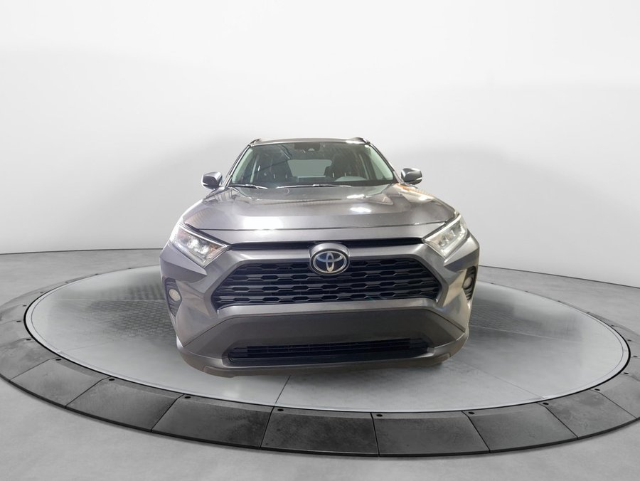 2019 Toyota RAV4 2019 Magnetic Grey Metallic