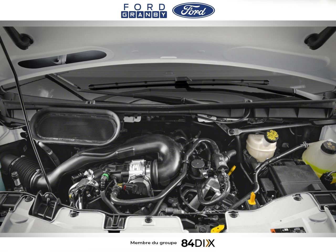 2026 Ford TRANSIT FOURGON UTILITAIRE White Granby - photo #8