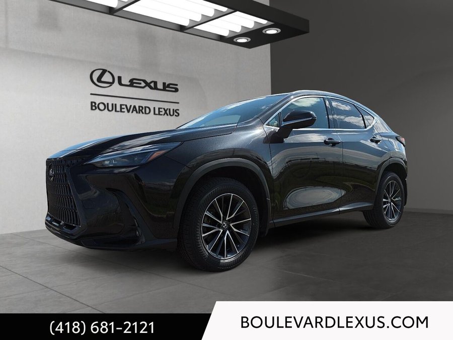 Lexus NX 2022 2022 Noir