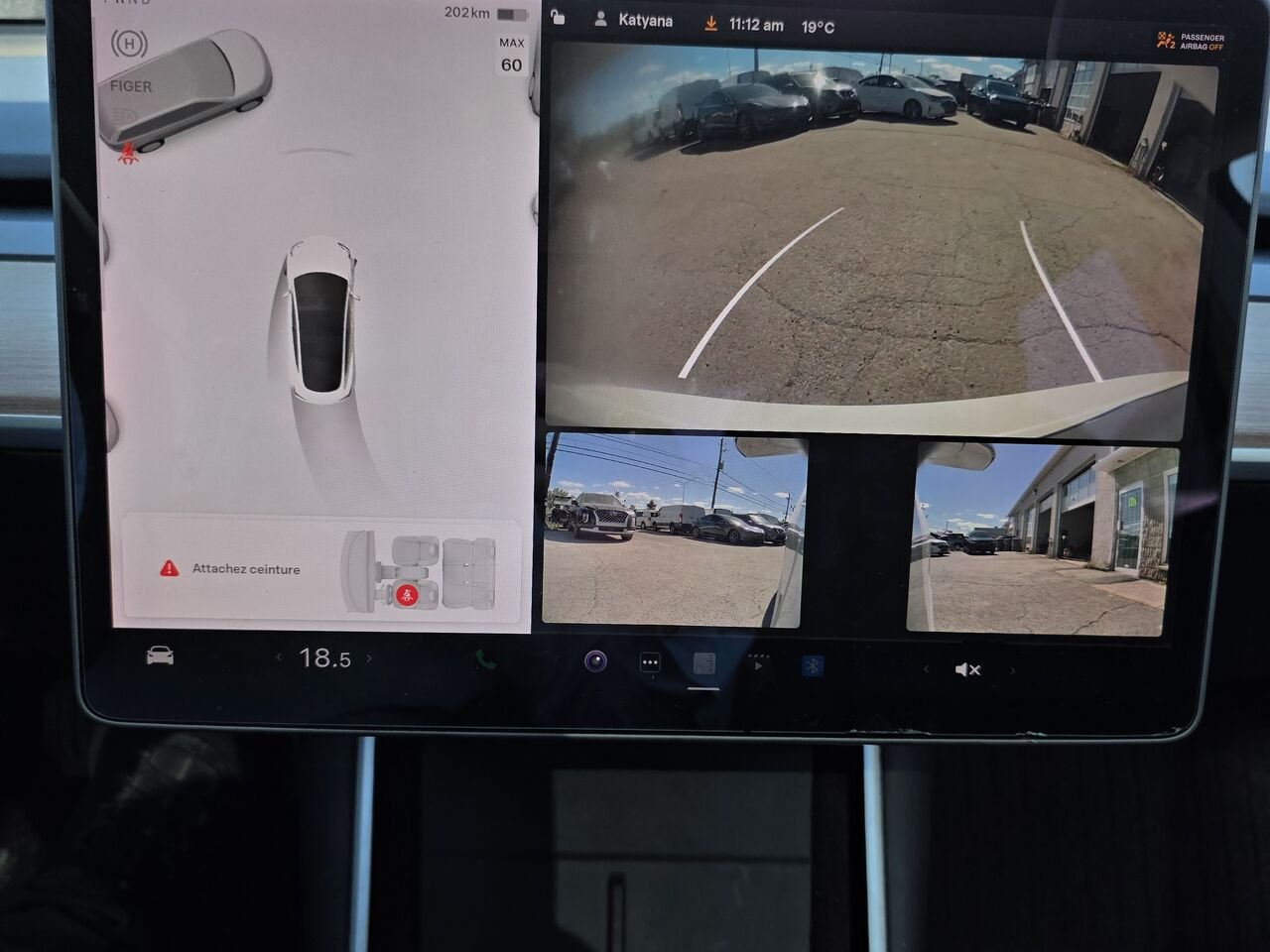 2020 Tesla Model 3 White  - photo #13