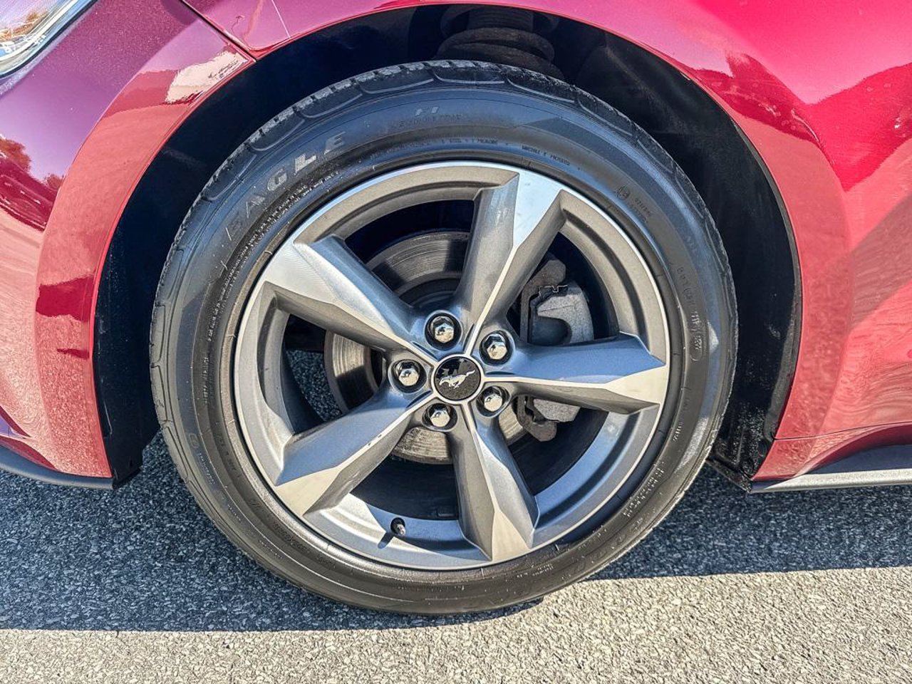 2016 Ford Mustang 1FA6P8AM3G5308367 Red Mirabel - photo #8