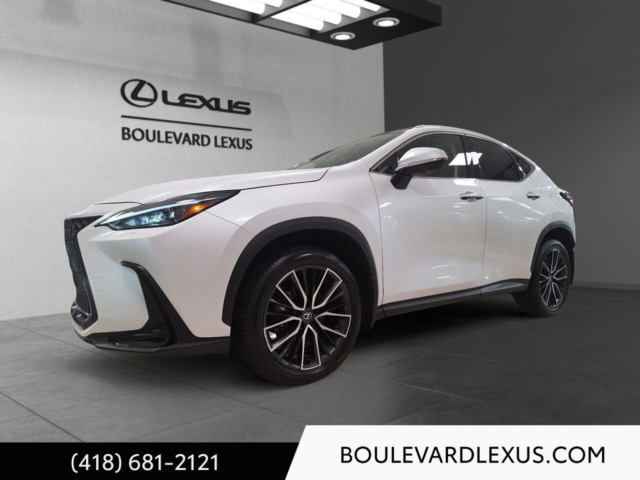Lexus NX 20129A | NX 350 TI 2024 Blanc Québec - photo #0