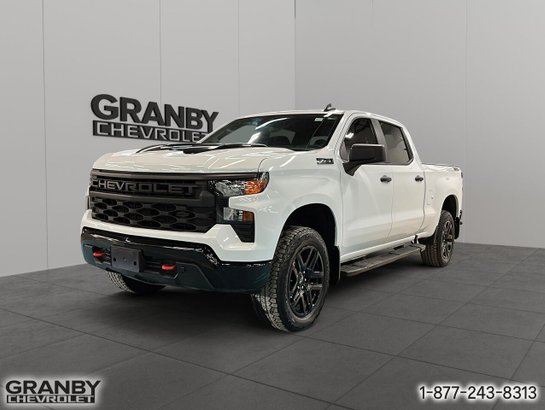 2024 Chevrolet Silverado 1500 2024 White
