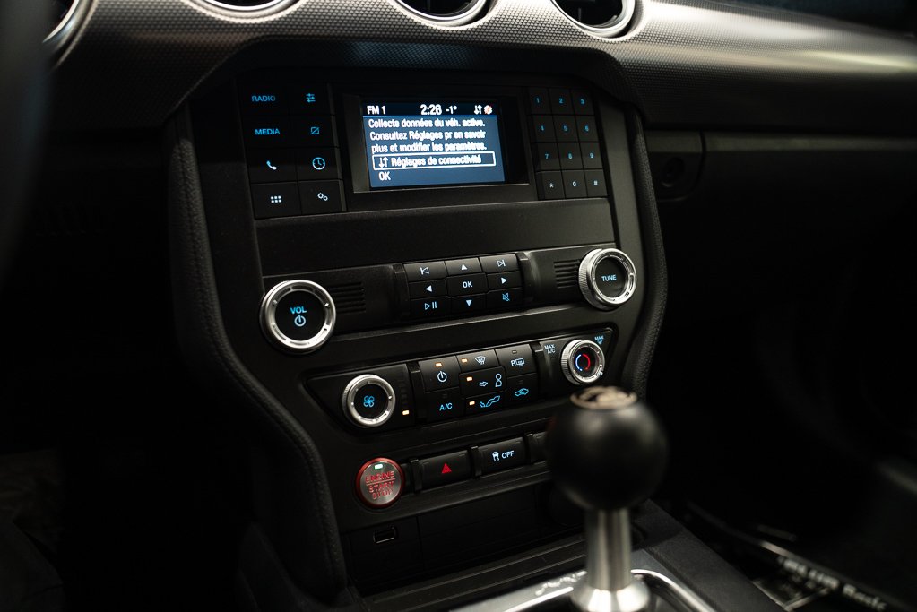 Ford Mustang GT * SUPER SNAKE * 2021 Gris Kirkland - photo #12