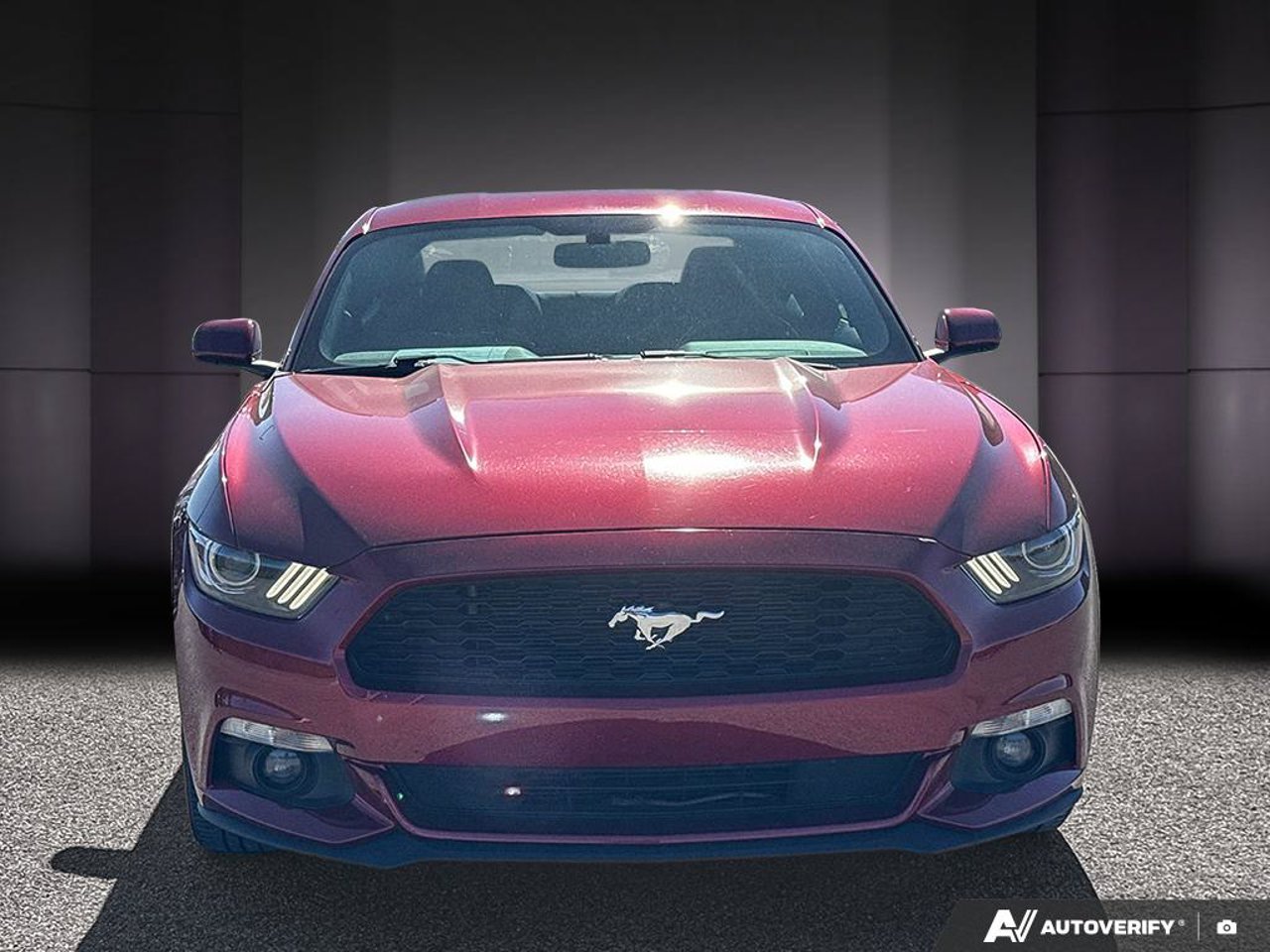 Ford Mustang 1FA6P8AM3G5308367 2016 Rouge Mirabel - photo #7