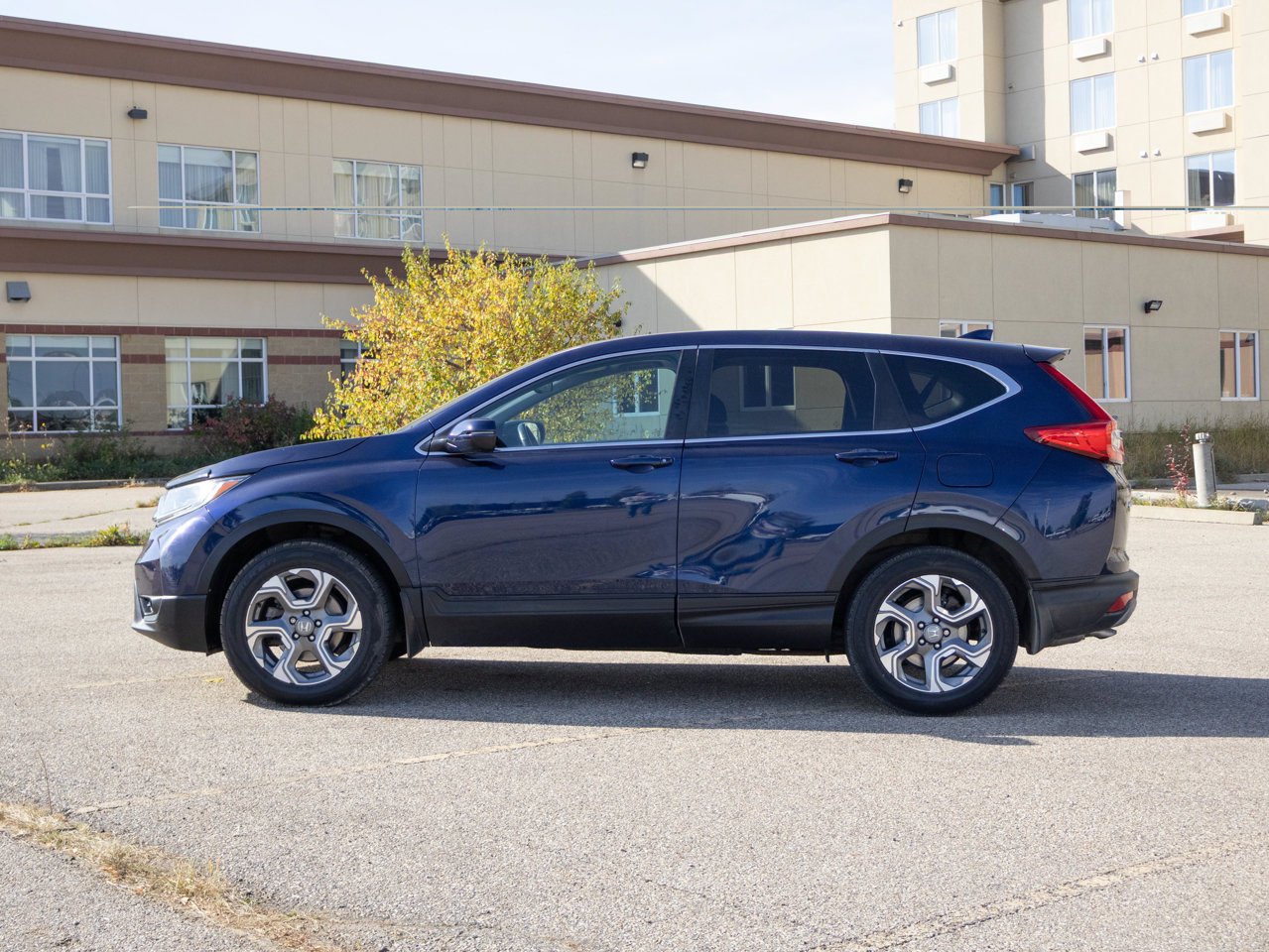 2019 Honda CR-V EX-L AWD Blue Sherwood Park - photo #9
