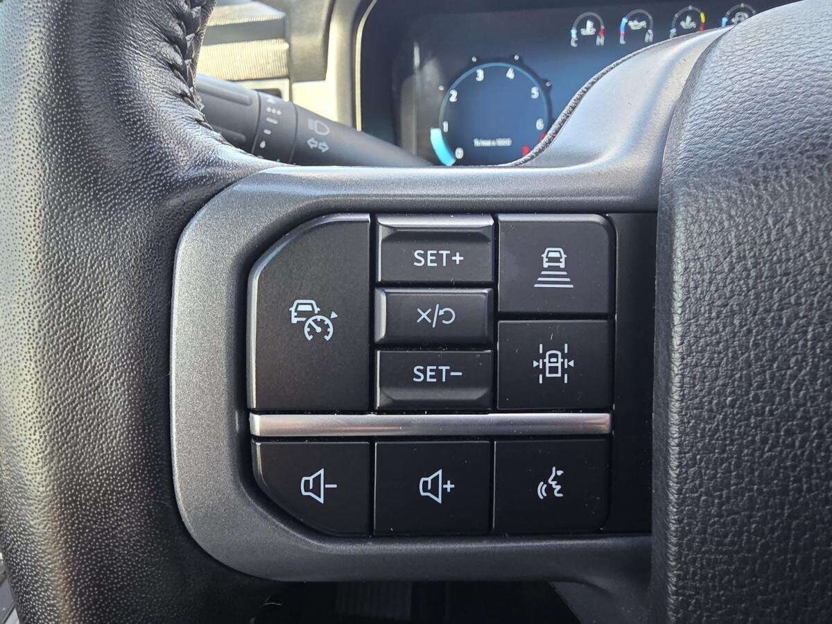 Ford F-150 2024 Gris Donnacona - photo #11