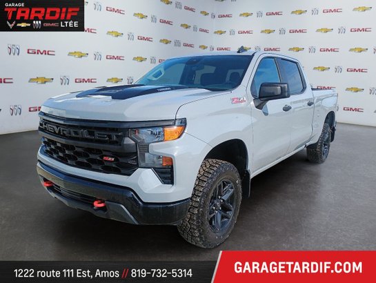 2024 CHEVROLET Silverado 1500 4WD Crew Cab CUTOM TRAIL BOSS Grey