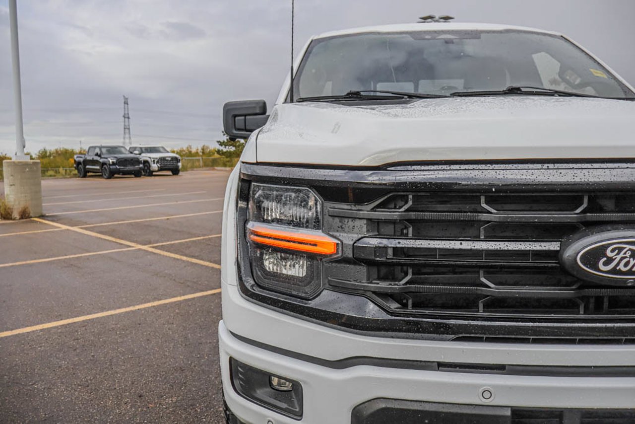 2025 Ford F-150 XLT 4WD SuperCrew 5.5' Box White Sherwood Park - photo #10