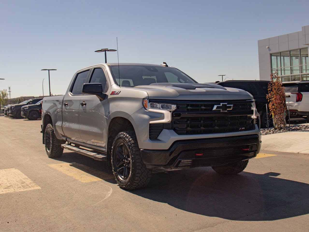 2023 Chevrolet Silverado 1500 4WD Crew Cab 147 LT Trail Boss Grey Sherwood Park - photo #12