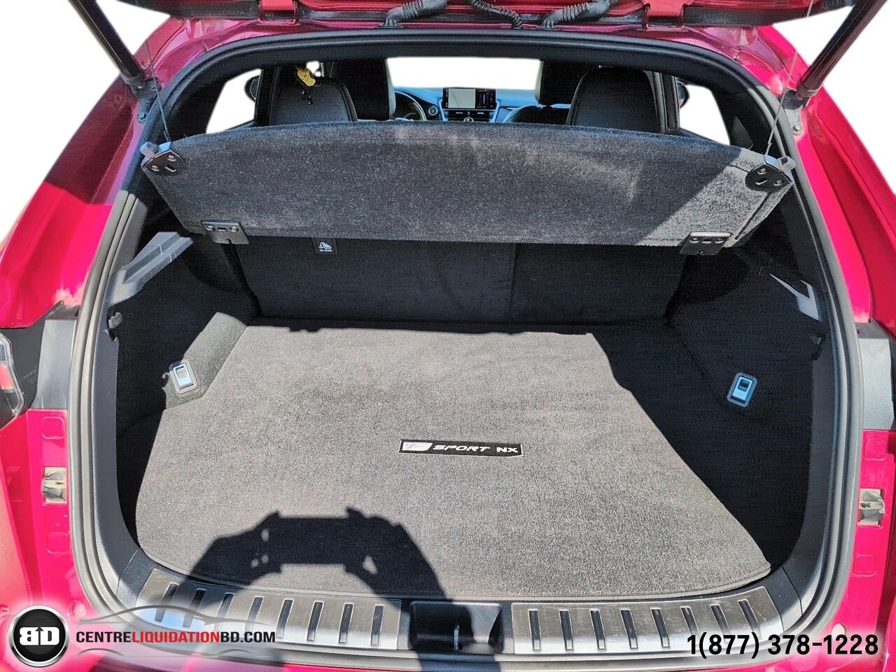 Lexus NX NX 300 | BD0273 2019 Rouge Granby - photo #10